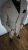 reserved (1).webp