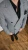 5.webp
