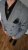 6.webp